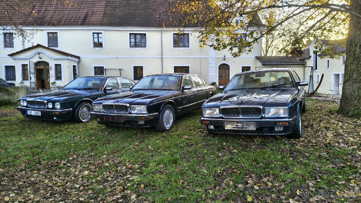 Jaguar Daimler DoubleSix V12 XJ81 - 12