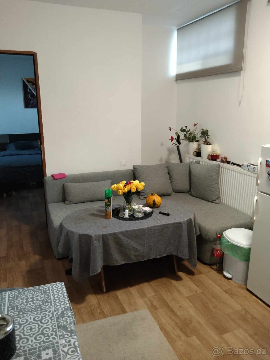 RD Říčany u Brna se třemi byty - 12