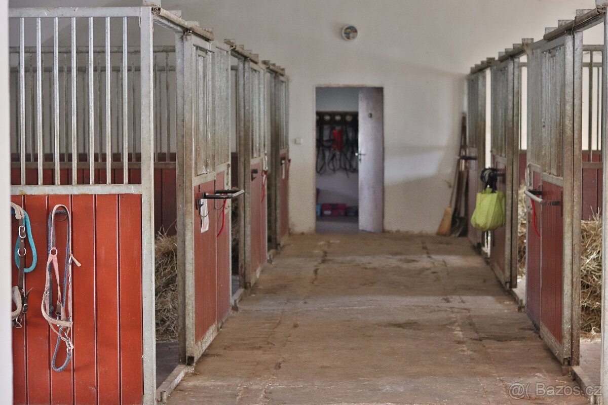 Ustájení koní na Šumavě - 12