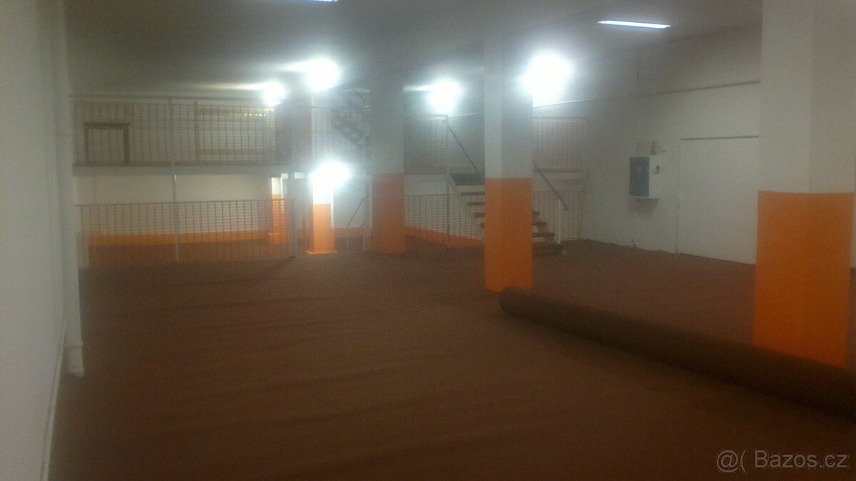 Pronájem nebytových prostor. - 12