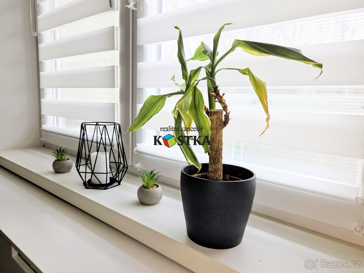 pronájem 3+1, L. Janáčka, Studénka, - 12