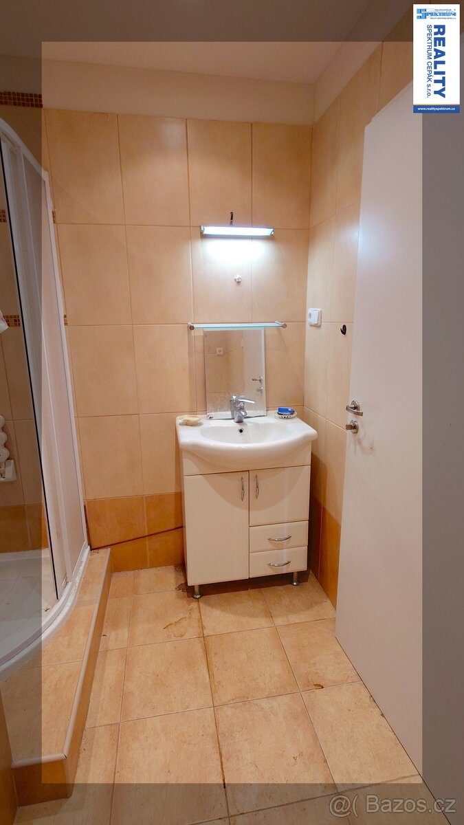 Prodej bytu 1+1 35 m², Praha - Kamýk - 12