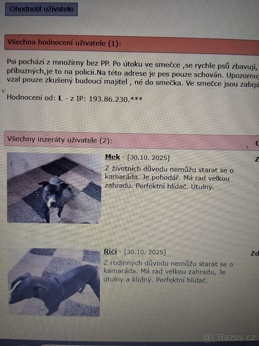 Pozor Pitbulové, kteří jsou útoční - 12