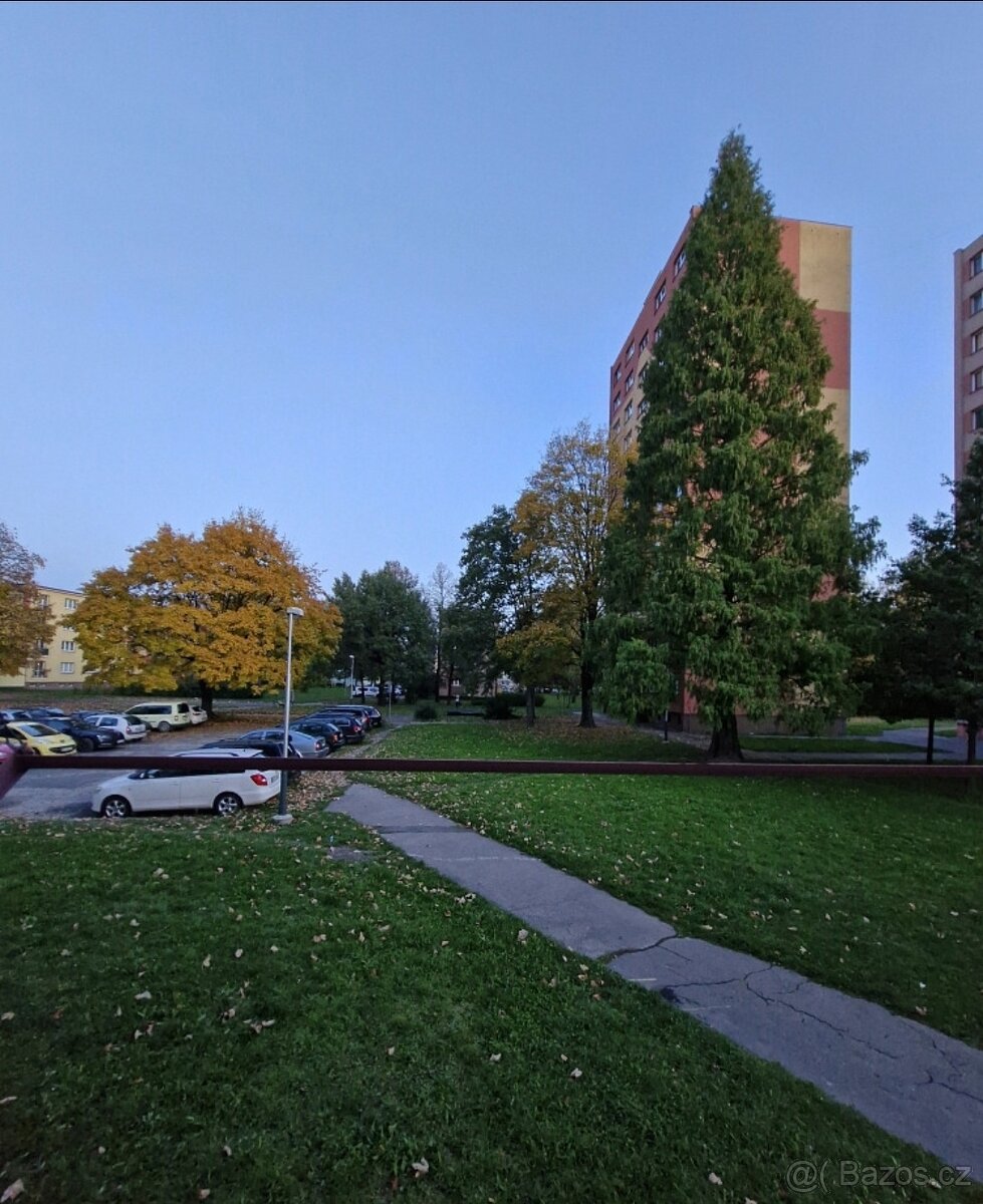 Byt 2+1, osobní vlastnictví, prodej, Ostrava Hrabůvka - 12