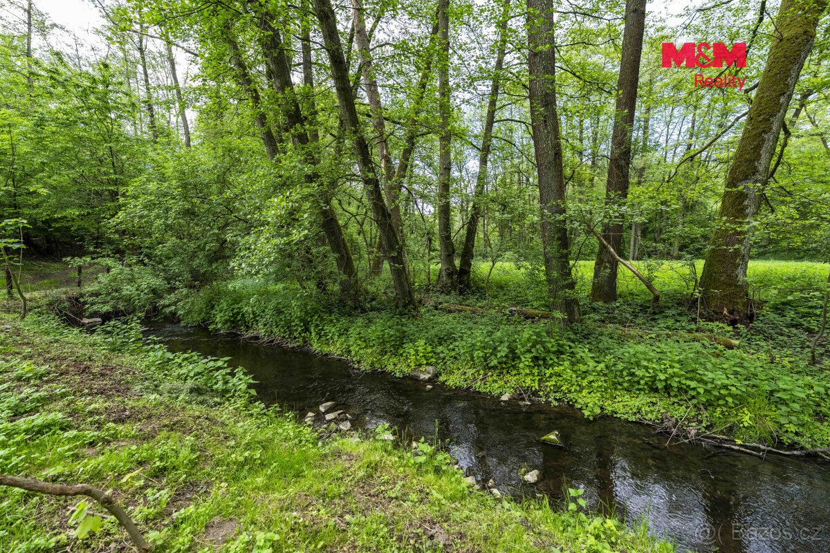 Prodej lesa, 491 m², Bohouňovice I - 12