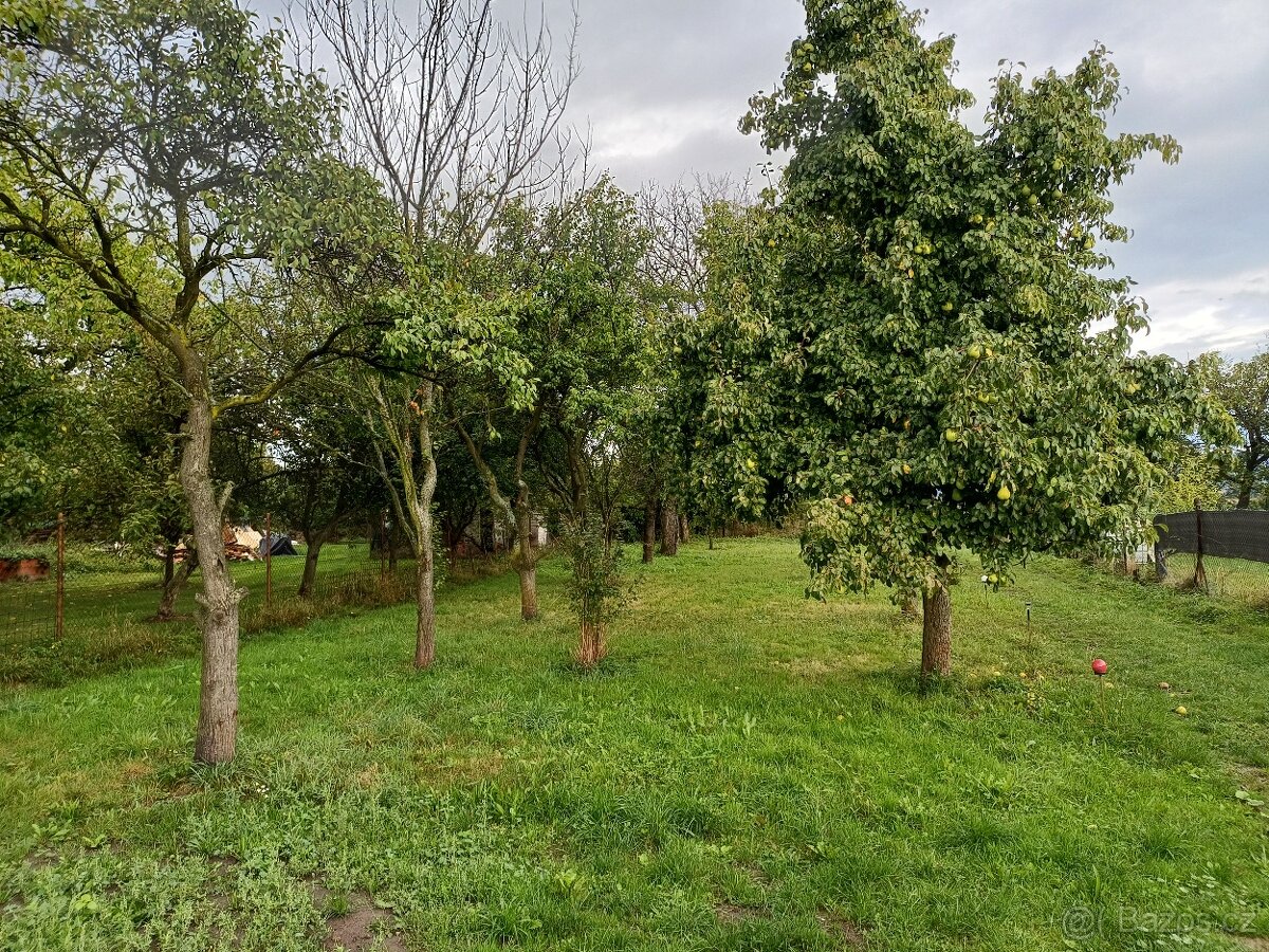 pronájem 3+1 Lipnik nad Bečvou Loučka - 12