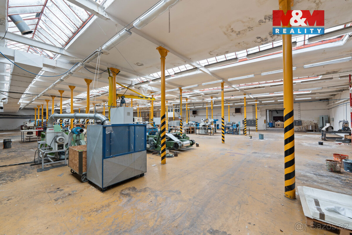 Prodej výrobního objektu, 6921 m², Bílá Třemešná - 12