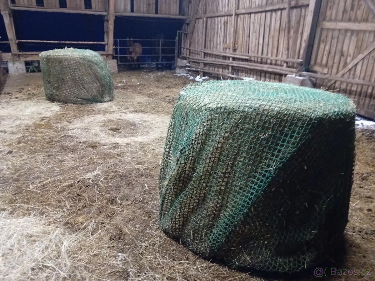 Pastevní ustájení - 12