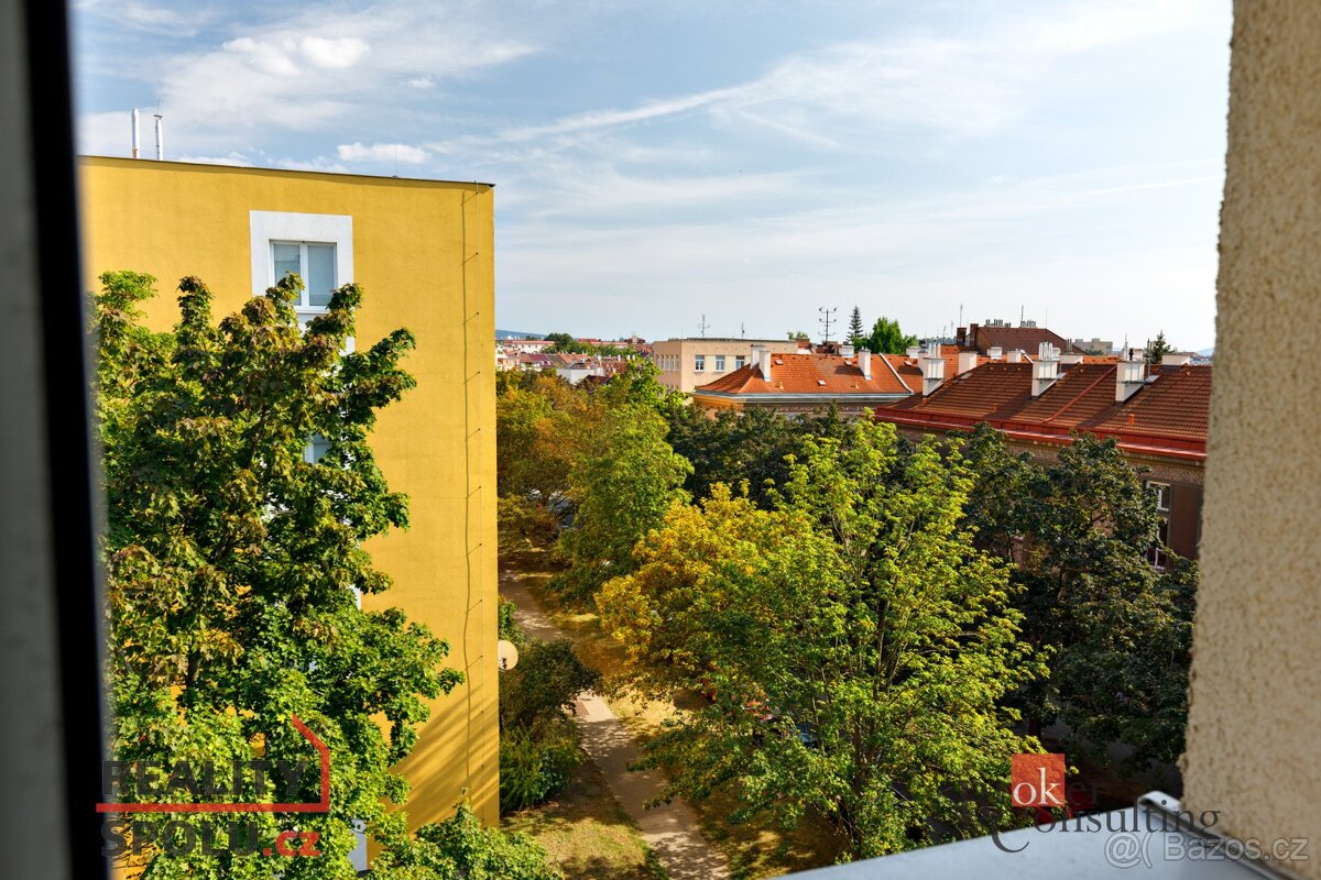 Pronájem, byty/2+1, 54 m2, Táborská 1946/14, Východní Předmě - 12