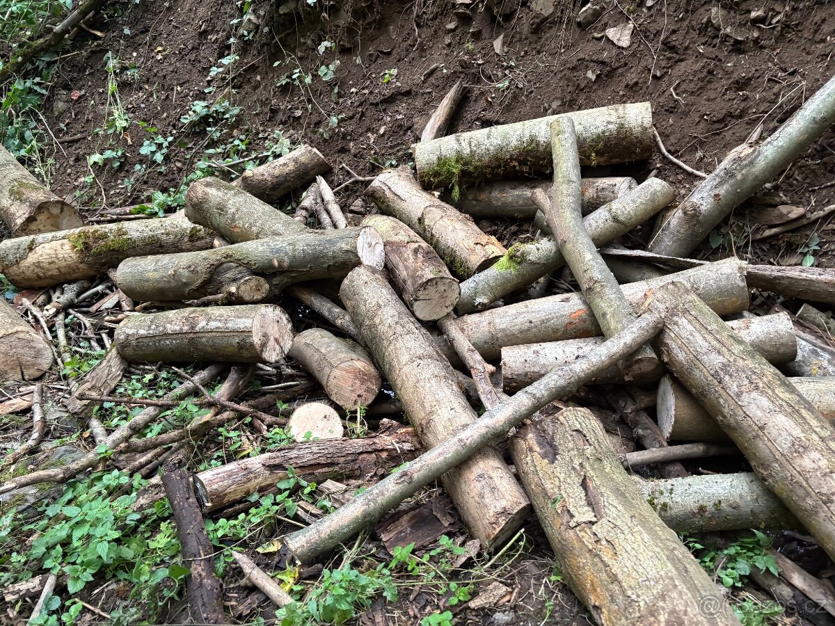 Palivové Dřevo Jasan - 12