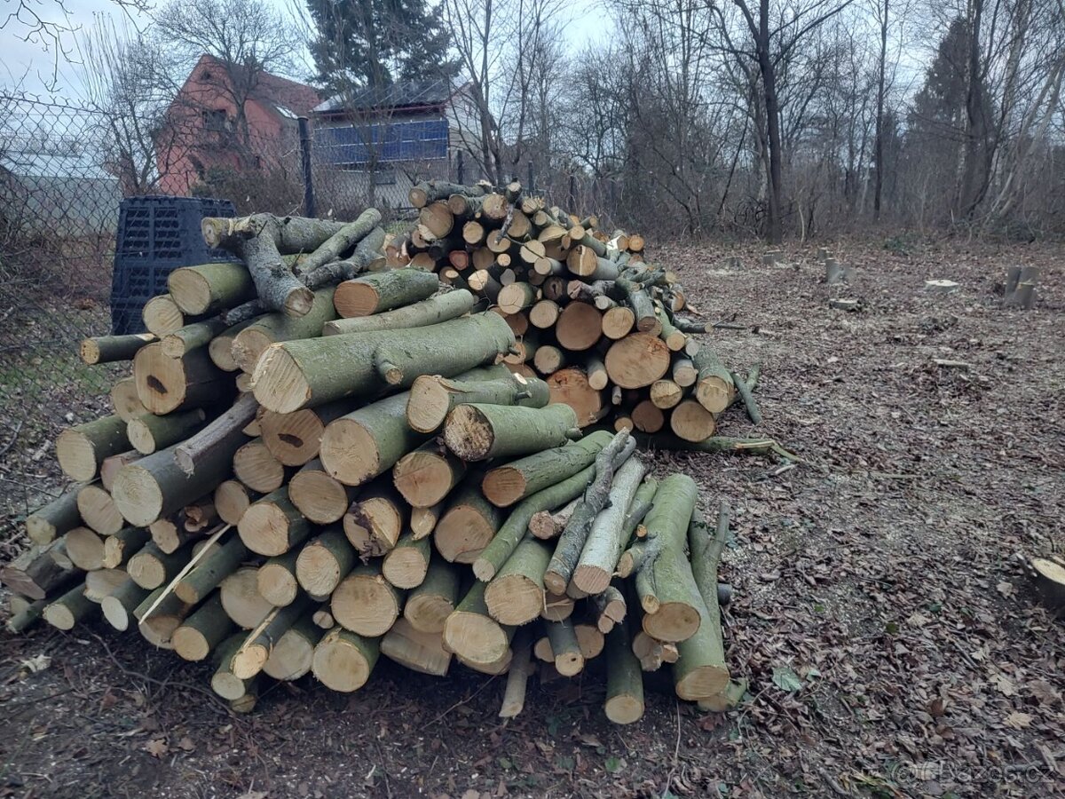 Třešeň - dřevo na uzení - 12