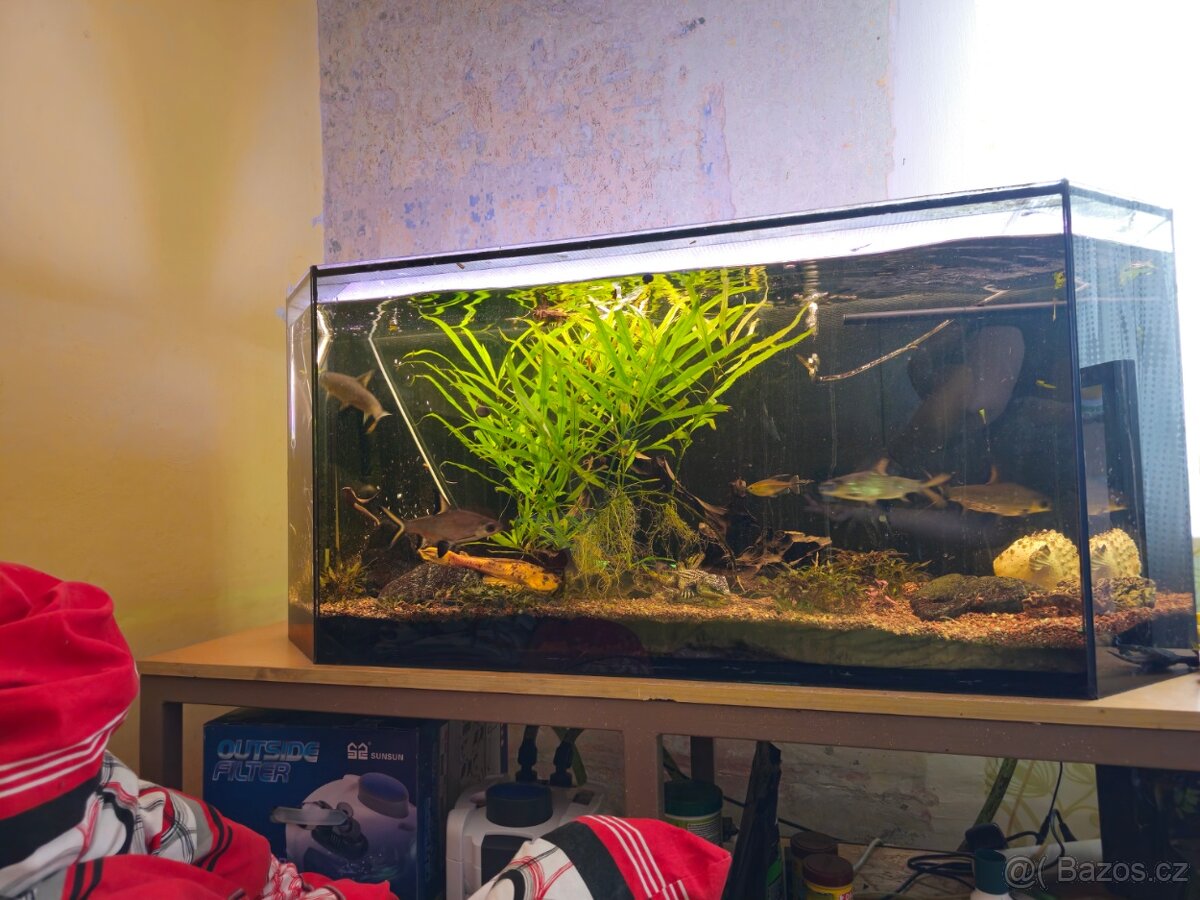 Akvárium 270l včetně stolu - 12
