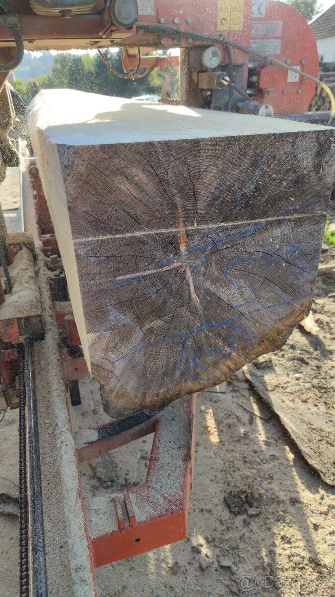 Wood Mizer LT40 - 12