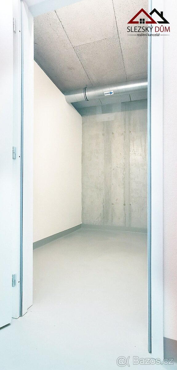 Pronájem, Byt, 2+kk/terasa/parkování/sklep, ul. F.X. Riepla, - 12