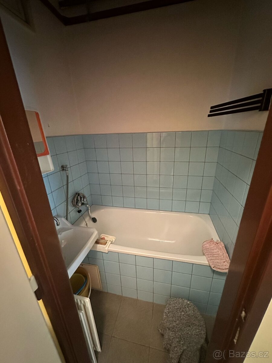 Zděný byt 2+1, 51m2 + garáž 17m2 - 12