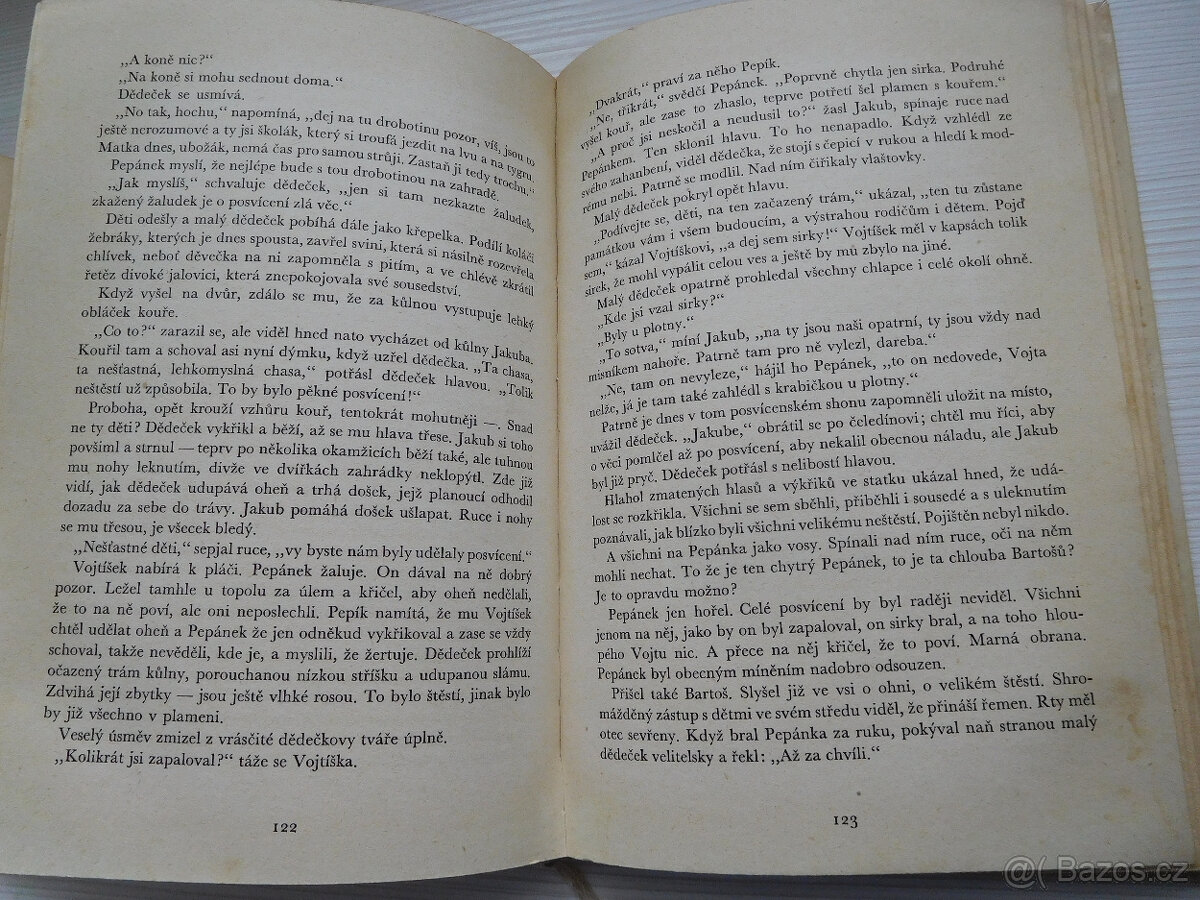 Knihy pro děti a mládež - 12