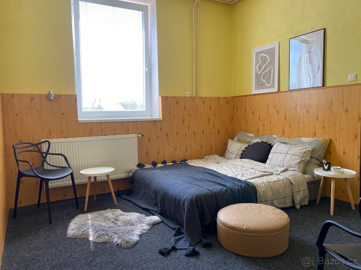 Pronajem apartmanu / nic víc neplatíte cena kompletní - 12