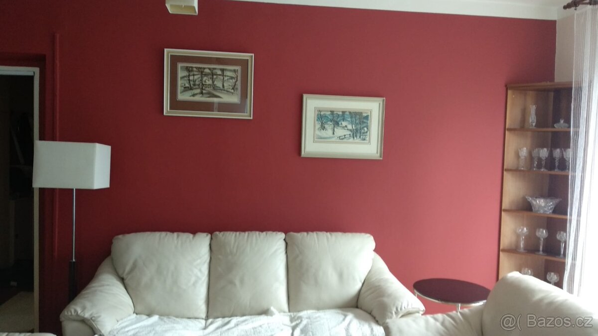 Pronájem bytu 3+1 v Olomouci - 12