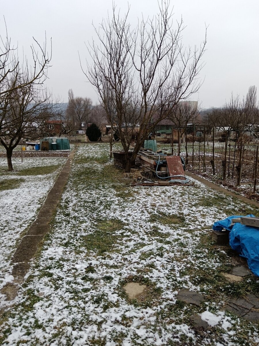 Zahrada s chatou, Otrokovice - 12