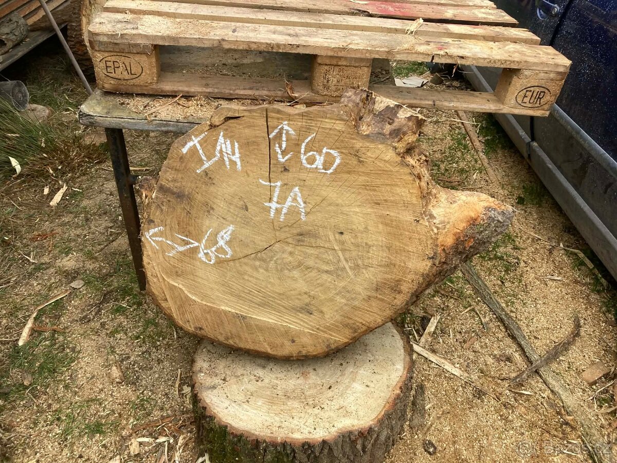 Prodám Dubové koláče - 12