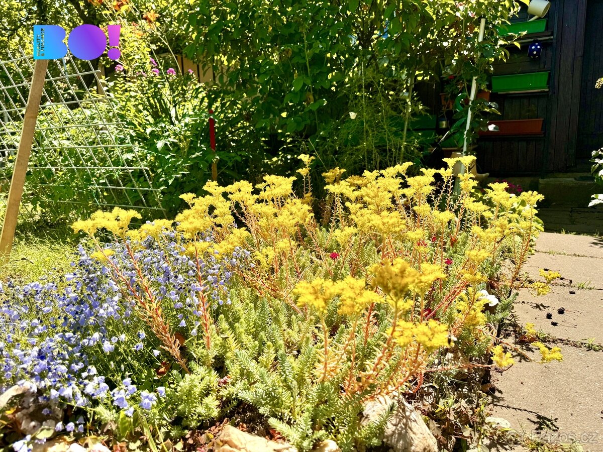 Prodej zahrady 180 m², Na Vyhlídce, Karviná - 12