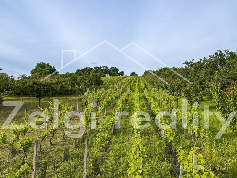 Prodej, Svatobořice-Mistřín, sad/vinice 3501m2 - 12