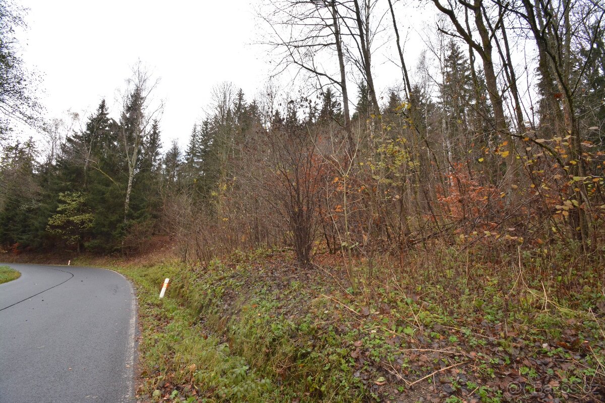 Pozemek Merklín - 12