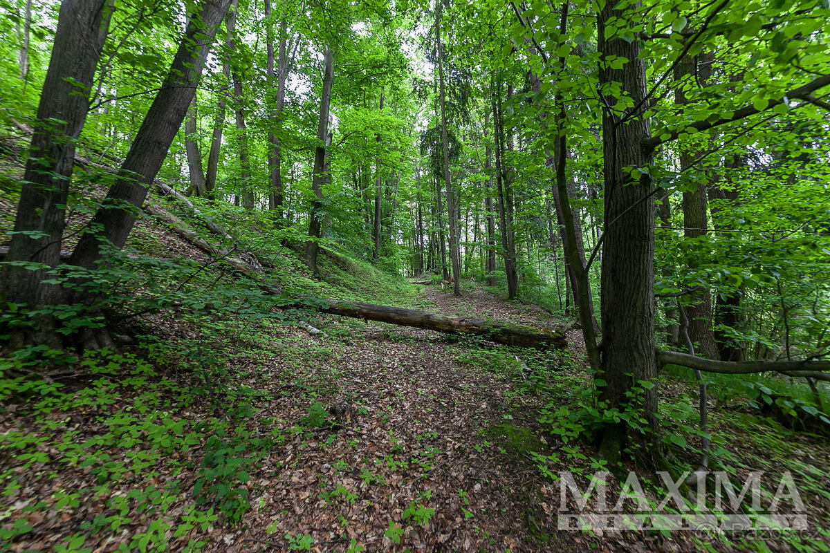 Pozemek o ploše 14573 m2 - Višňová, Předlánce - 12