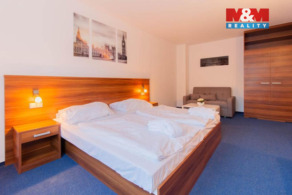 Prodej bytu 1+1, 42 m², Frymburk - 12