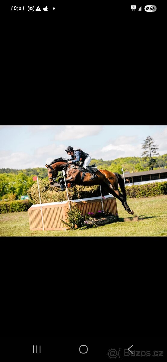 Letošní hřebeček - 12