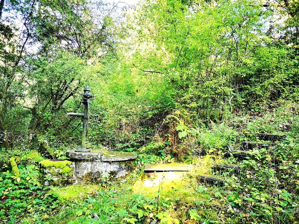 Prodej chaty, 65 m2, Erpužice-Malovice - 12