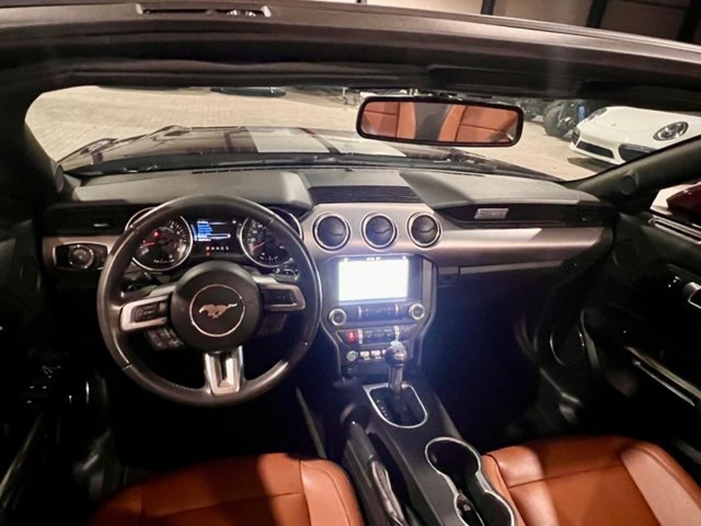 Ford Mustang 5.0 V8 Cabrio (č. 1195) - 12