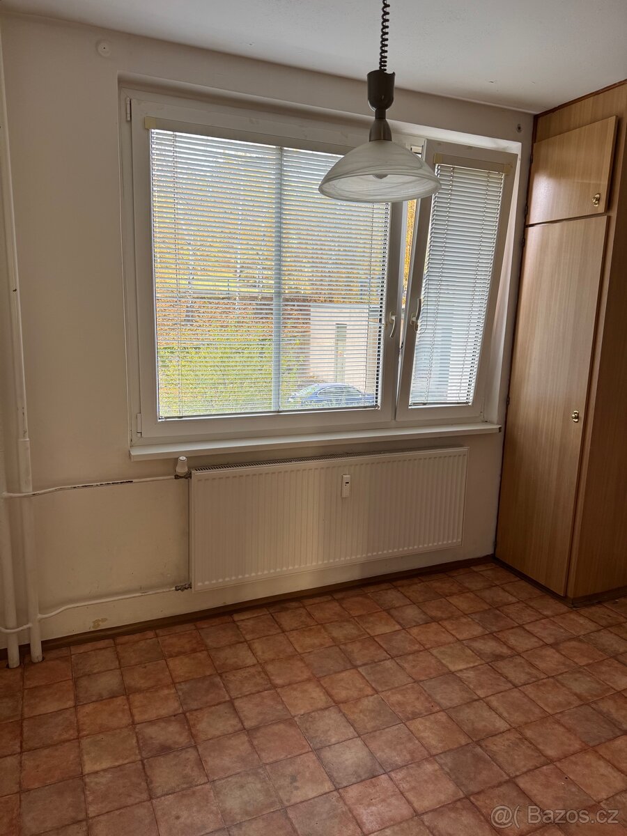 Prodej bytu 3+1, Školní Pěšina, Chomutov - 12