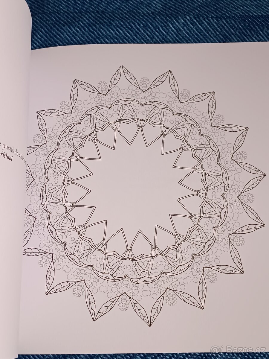 Omalovánky pro dospělé: Inspirativní a ............. - 12