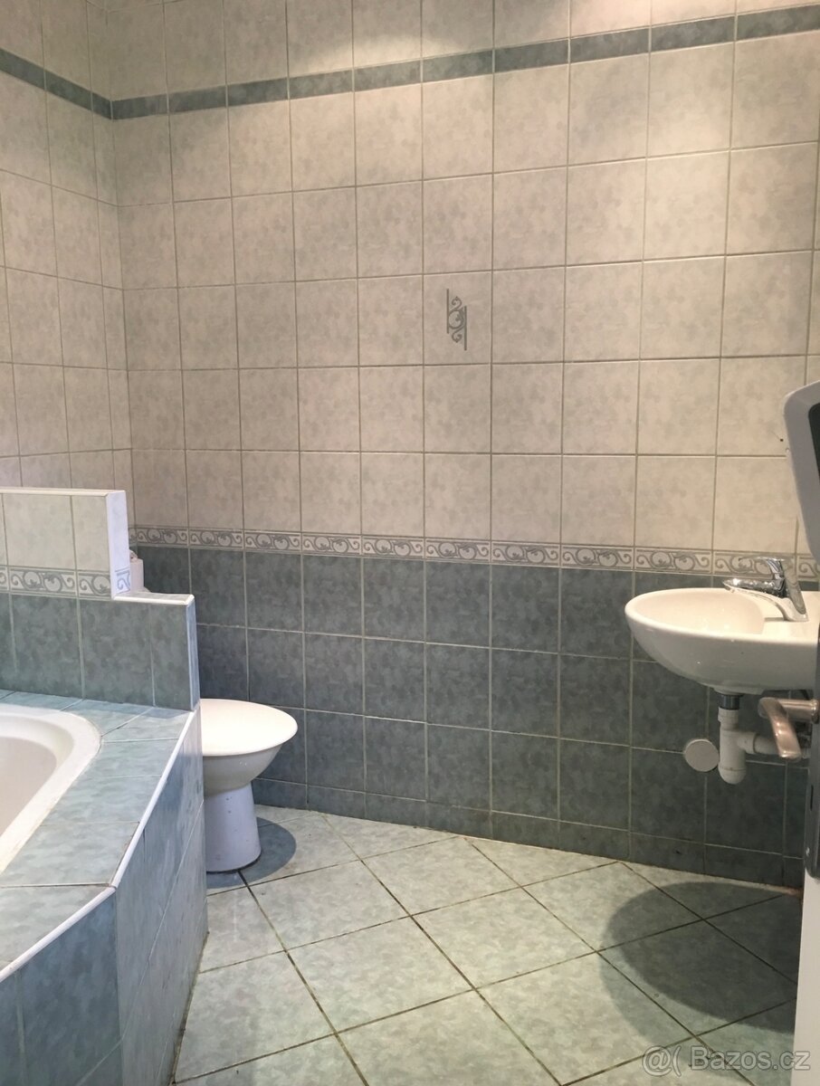 Pronájem rodinného domu - 12