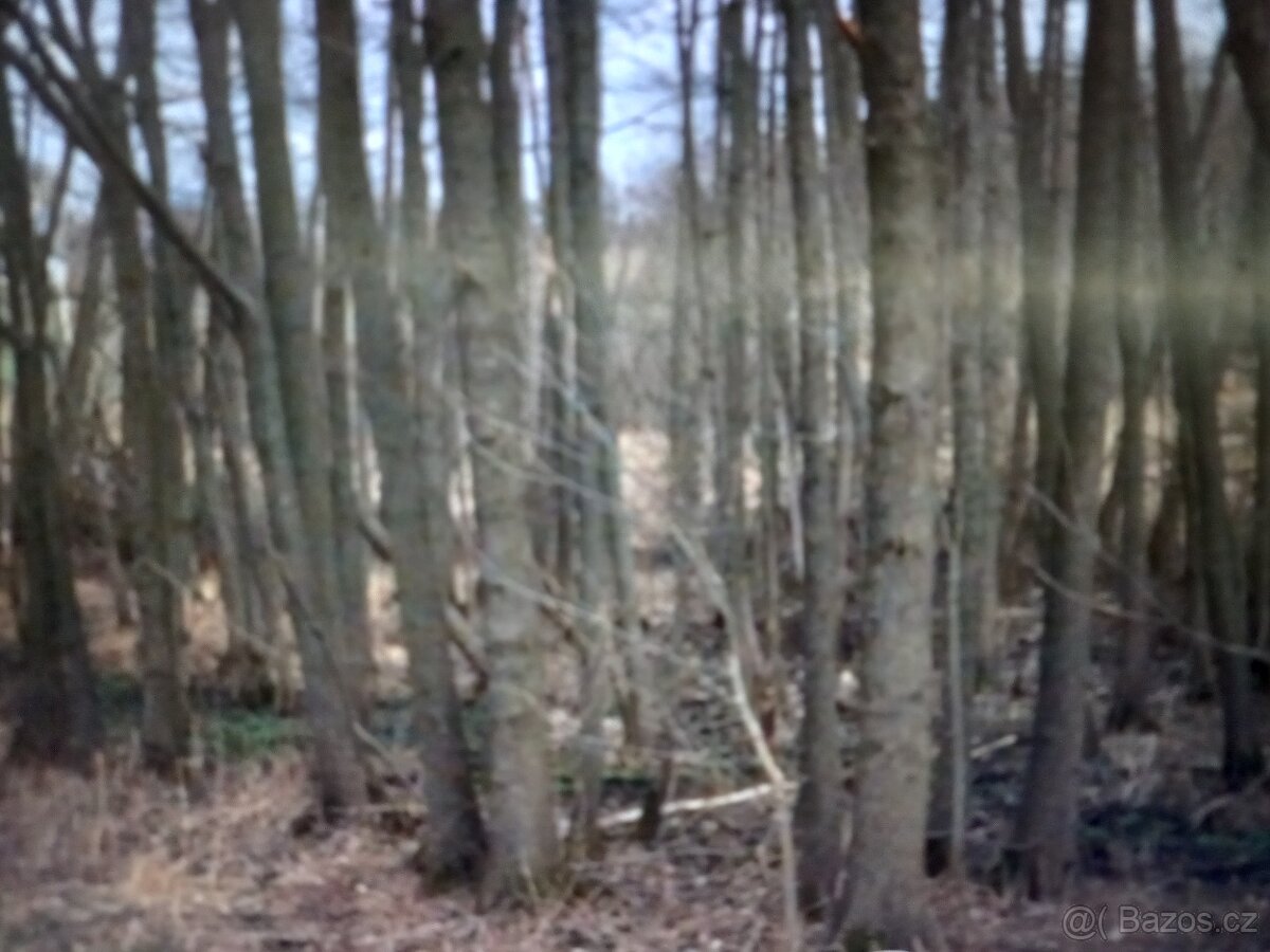 Zemědělská Usedlost - 12