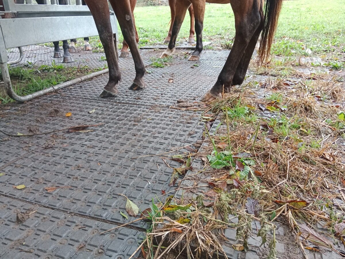 Stájové rohože, do boxů pro koně - sleva 7% - 12