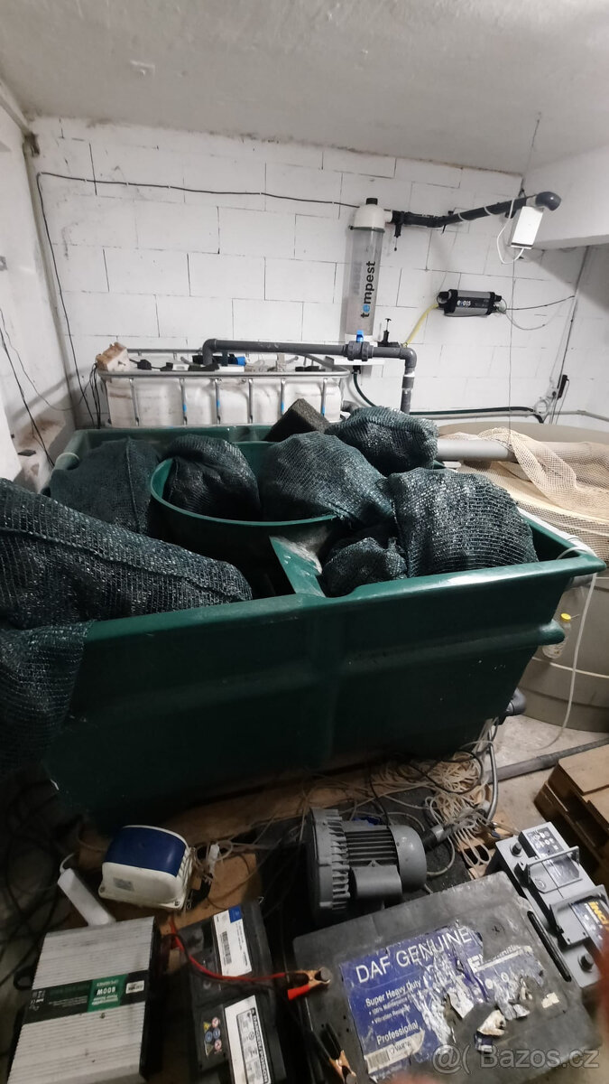 AQAPONICKA FARMA Pronajem - 12