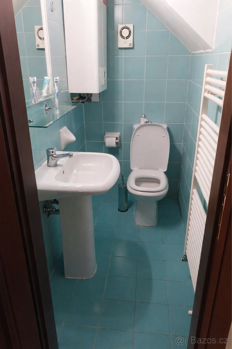 Pronájem bytu 3kk- Praha 1 - 12