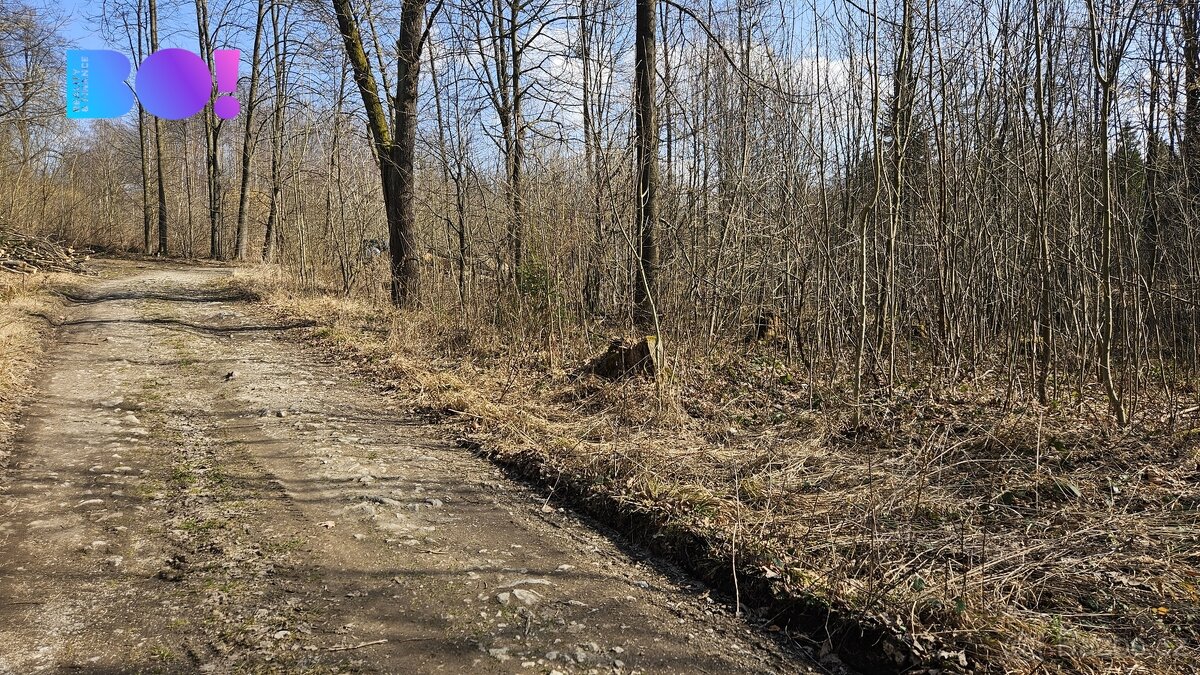 Prodej lesů, 55 558 m², Rybí - 12