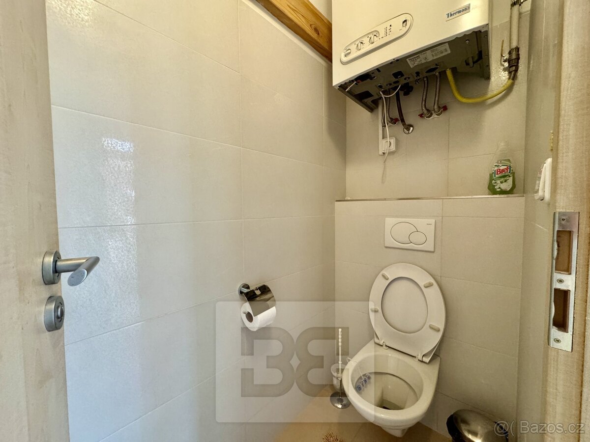 Pronájem byty 4+kk, 195 m² - Velké Opatovice, ev.č. N08297 - 12