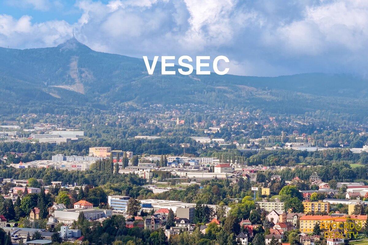 Sleva - Dům s pěkným pozemkem Vesec - 12