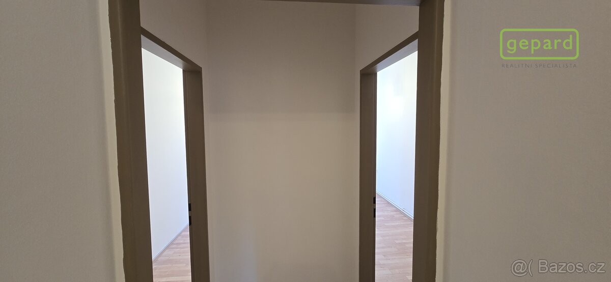 Zděný byt se sklepem a podílem na pozemku - Jírovcova ulice - 12