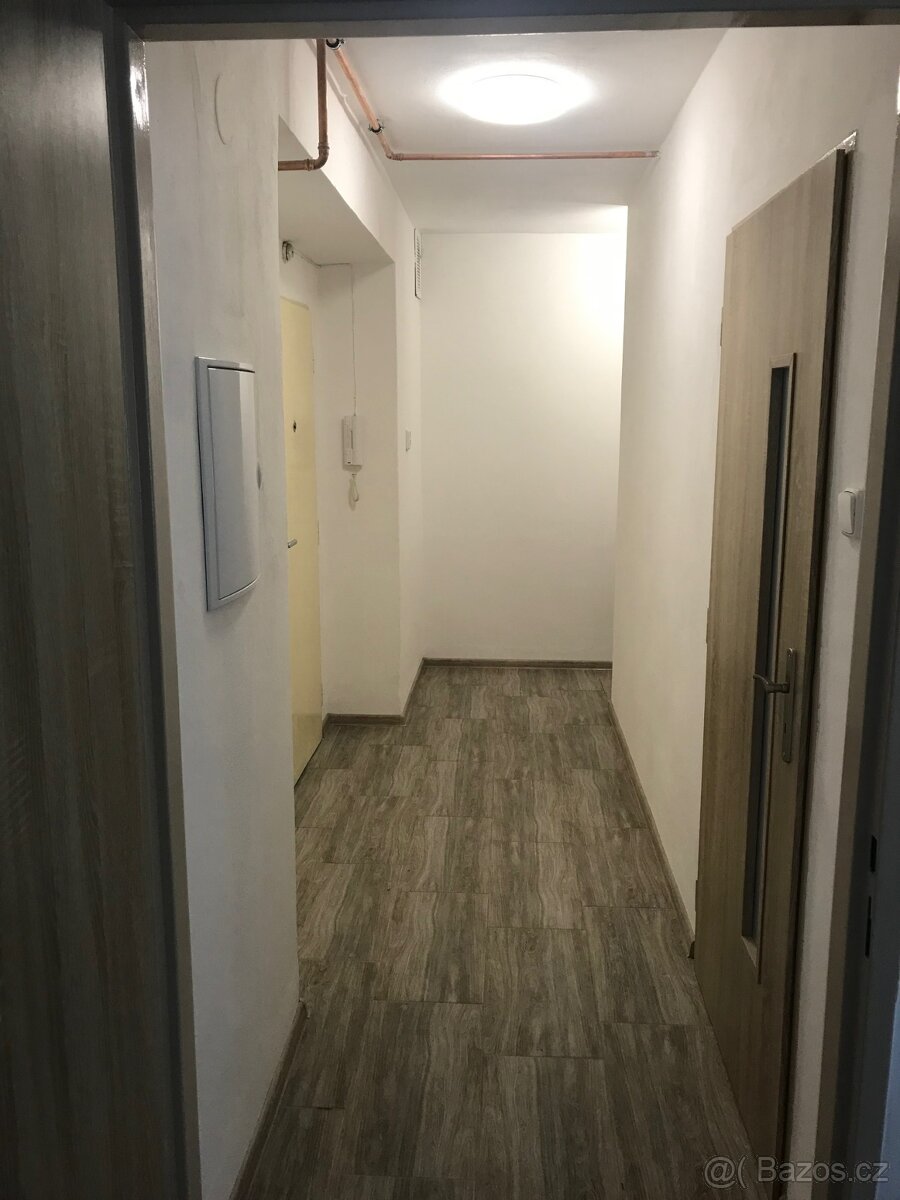 Pronájem bytu 1+1, 42 m² v Mor. Budějovicích, Myslbekova - 12