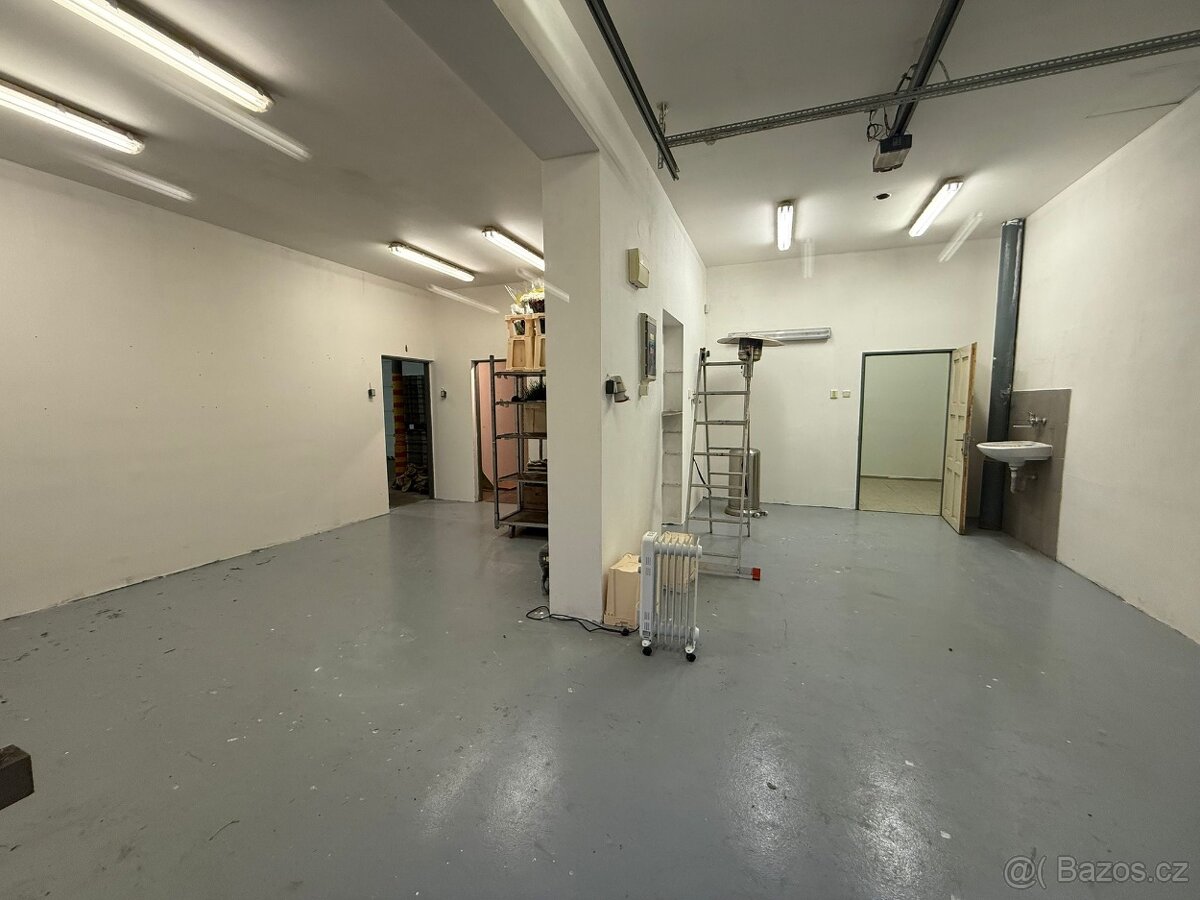 Bzenec-prostory k pronájmu - 12