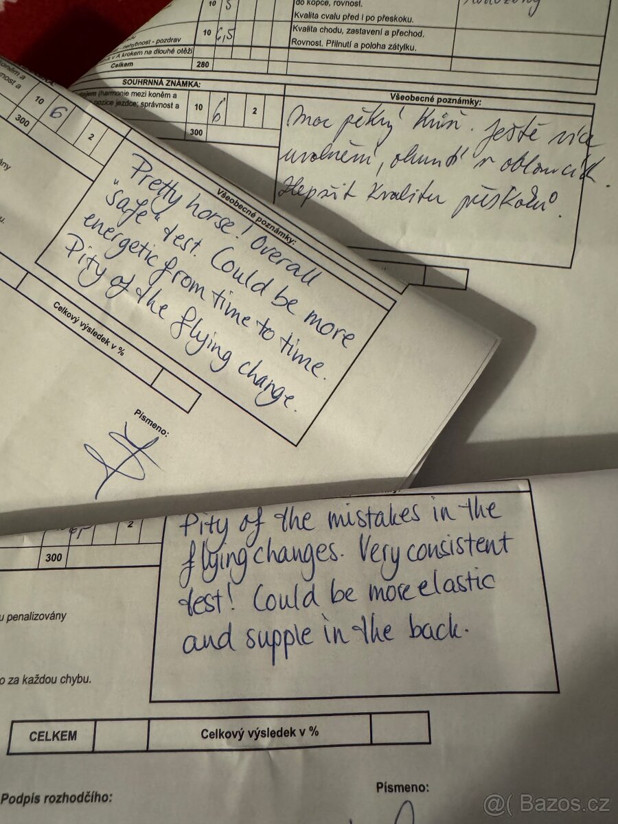 Zatím půlpronajem koně - 12