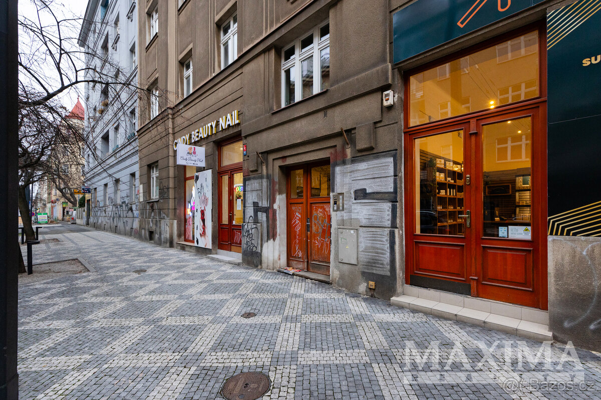 Byt 1+1 o ploše 37 m2 - Praha, Nusle - 12