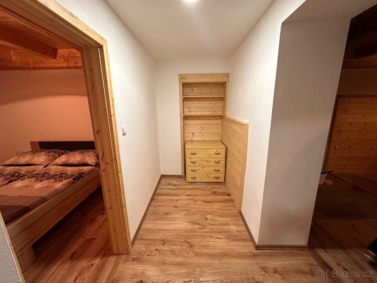 Pronájem - Apartmán Voděrady - 12