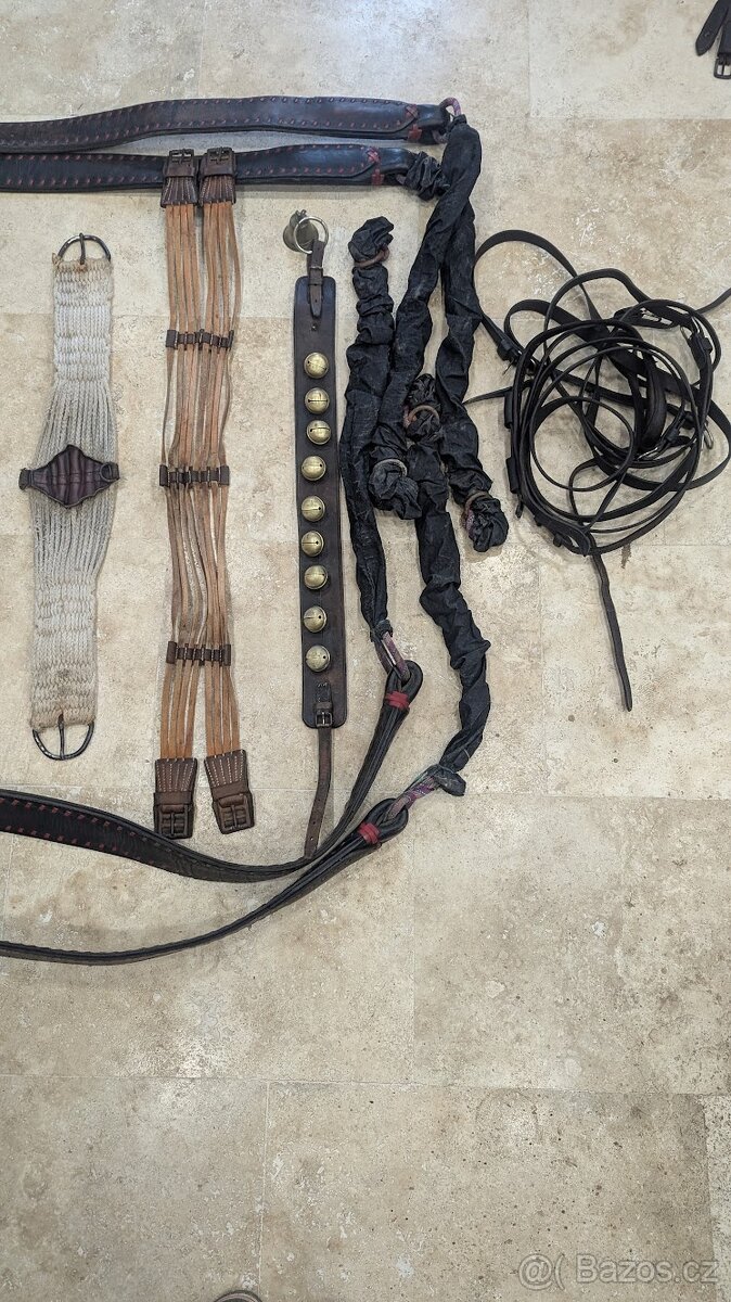 Prodám párové postroje do kočáru s chomouty - 12