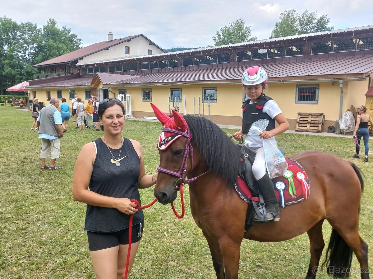 prodam pony- pronajem - 12